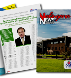 Sant’Orsola – Comunicato Stampa